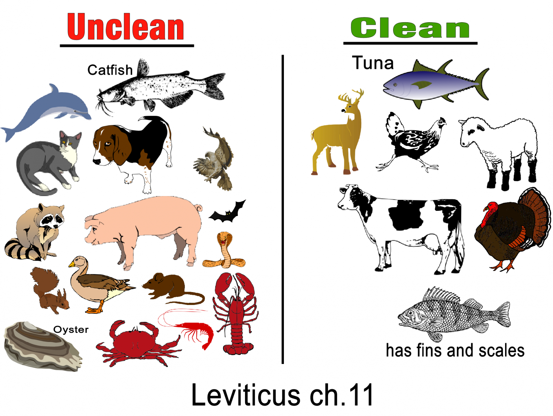 dietary-law-oracles-of-jesus